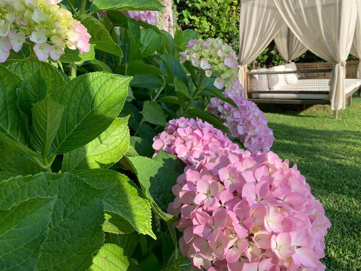 Agapanto Luxury Accommodation Casamicciola Terme Екстериор снимка